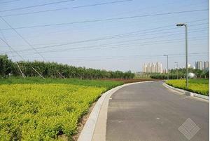 公园绿化工程